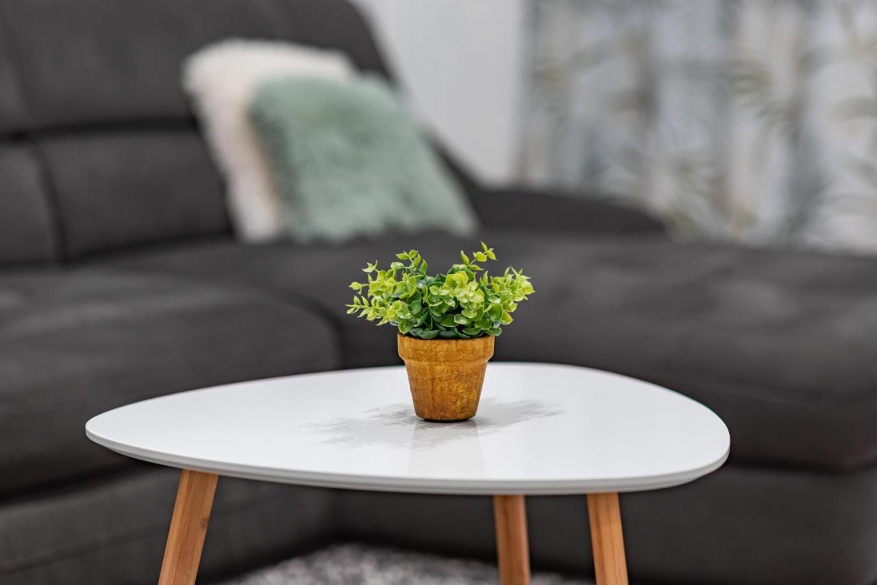 Green Apartment Coresi Braşov Eksteriør bilde